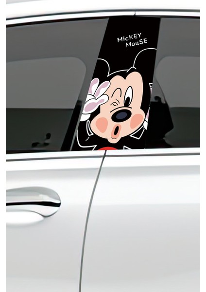 Araç Kapı Direk Kaplama Folyosu Desenli (Sağ Sol Takım) (2 Adet) - 22X50 cm fiyatları