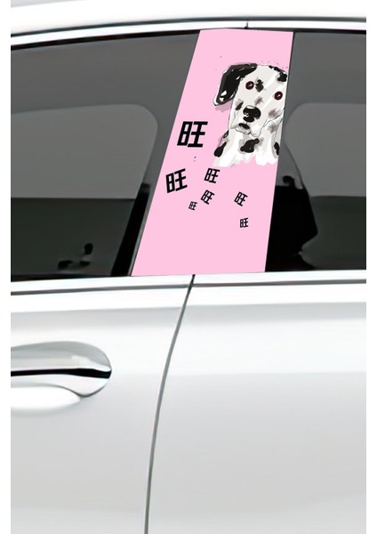 Araç Kapı Direk Kaplama Folyosu Desenli (Sağ Sol Takım) (2 Adet) - 22X50 cm fiyatları