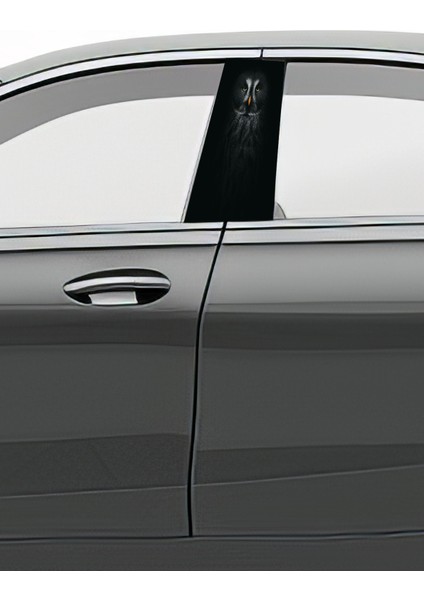 Araç Kapı Direk Kaplama Folyosu Desenli (Sağ Sol Takım) (2 Adet) - 22X50 cm