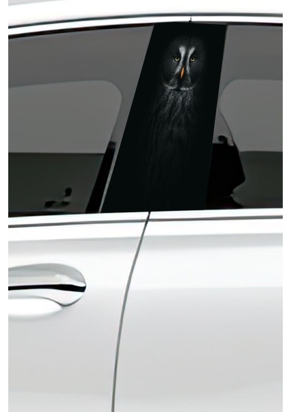 Araç Kapı Direk Kaplama Folyosu Desenli (Sağ Sol Takım) (2 Adet) - 22X50 cm fiyatları