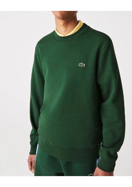 Erkek Yeşil Bisiklet Yaka Klasik Fit Sweatshirt