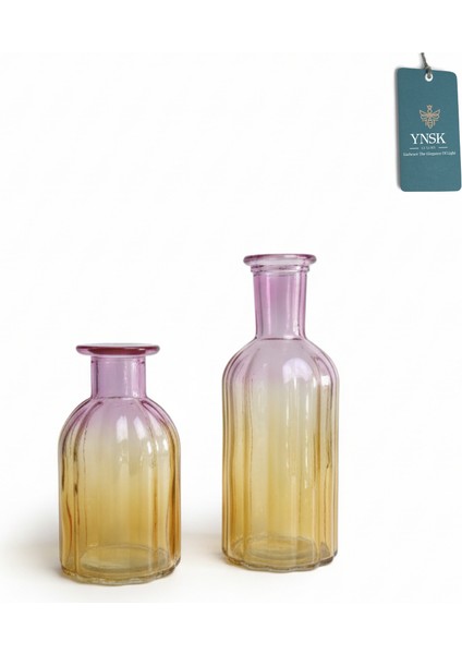 Hyggeglow| 2 'li Minimalist Dekor Çok Renkli Cam Vazo fiyatları