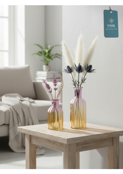 Hyggeglow| 2 'li Minimalist Dekor Çok Renkli Cam Vazo fırsatları