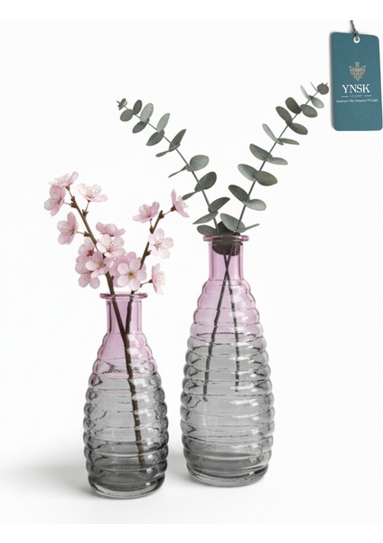 Ardena | 2 'li Minimalist Dekor Çok Renkli Cam