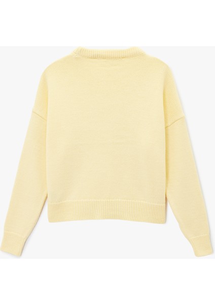 Uzun Kollu Bisiklet Yaka Basic Triko Kazak fiyatları