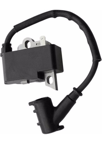 Ateşleme Bobini CS3100