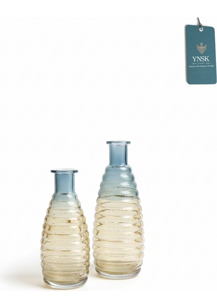 Freya | 2 'li Minimalist Dekor Çok Renkli Cam Vazo modelleri