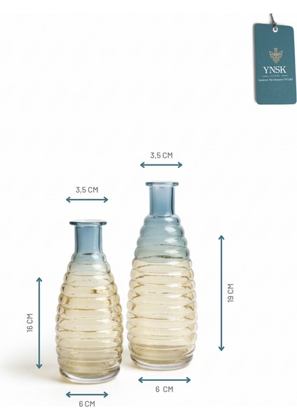 Freya | 2 'li Minimalist Dekor Çok Renkli Cam Vazo fiyatları