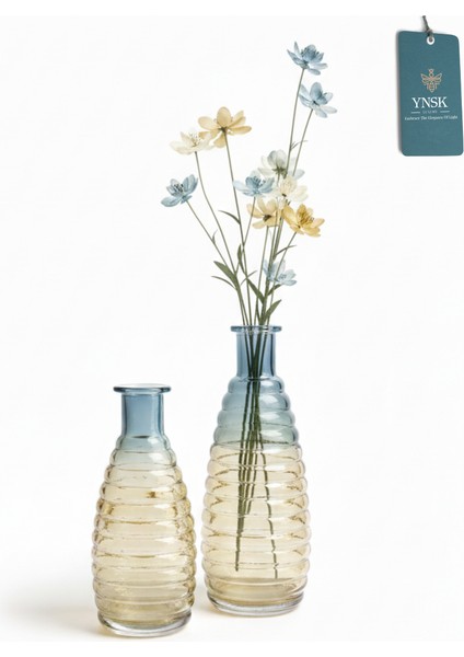 Freya | 2 'li Minimalist Dekor Çok Renkli Cam Vazo