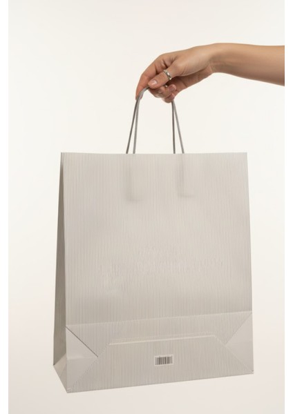 10 Adet Çizgi Desenli Karton Çanta - Hediye Paketi Çanta Poşet 40 cm x 46 cm x 13 cm fırsatları