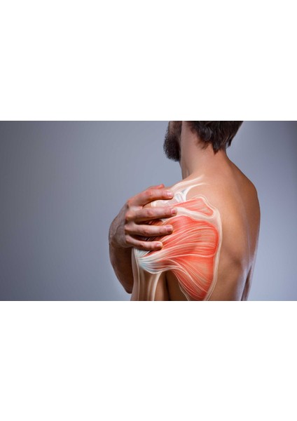 Painorub Muscle Pain-Relief Cream 50 ml / Ağrı Gidermeye Yardımcı Teskin Krem fiyatları