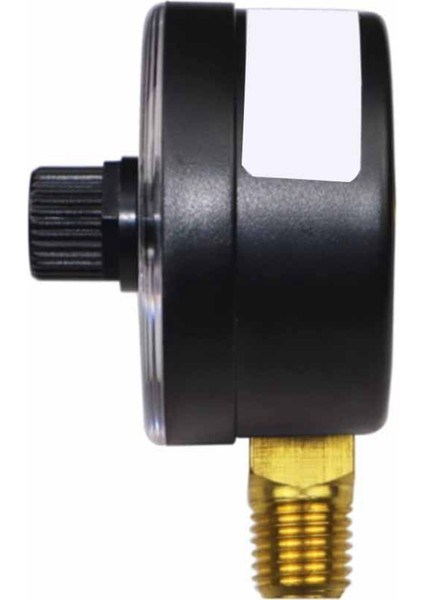 Hayward ve Hcf Serisi Kum Filtreleri S270T2 S244SV Için Uygun ECX271261 Basınç Göstergesi (Yurt Dışından) fırsatları