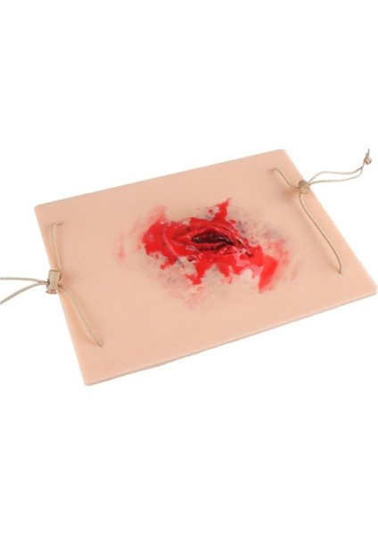 Travma Yarası Simülasyon Modülü Travma Yara Cilt Modülü Eğitim Egzersizleri Için Yara Ambalajlama Görev Eğitmeni (Yurt Dışından)