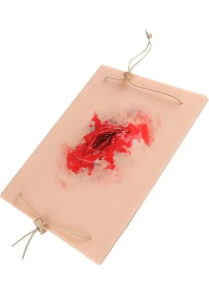 Travma Yarası Simülasyon Modülü Travma Yara Cilt Modülü Eğitim Egzersizleri Için Yara Ambalajlama Görev Eğitmeni (Yurt Dışından) fiyatları