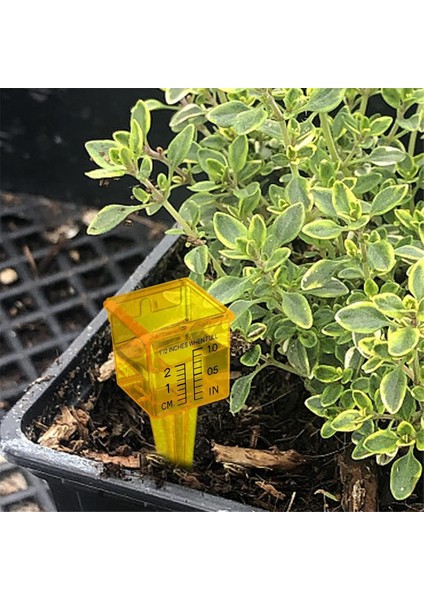 Yağmur Göstergesi Yeniden Kullanılabilir Açık Plastik Sprinkler Ölçüm Aracı 1.5 Inçlik Sprinkler Gauge Geniş Ağız (Yurt Dışından) fiyatları