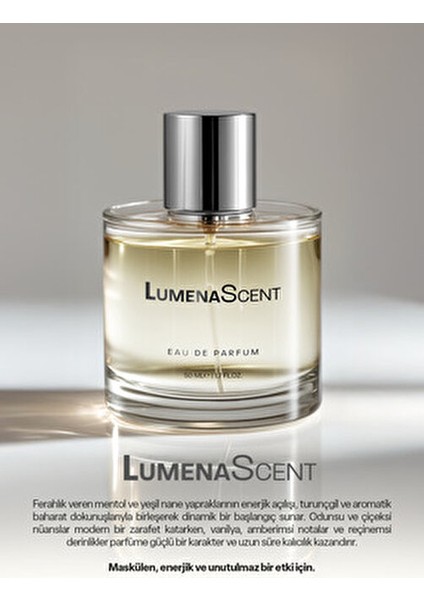 S401 Erkekler İçin 50 ml EDP Parfüm Odunsu ve Baharatlı Koku indirimleri