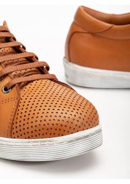 Kadın Taba Hakiki Deri Delikli Spor Ayakkabı modelleri
