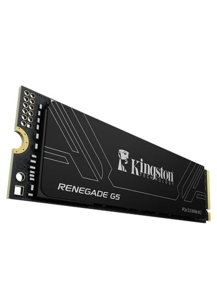 2tb Kıngston Renegade SRNG2S/2T0 14000/14700MB/S Pcıe 5.0 Nvme SSD fiyatları