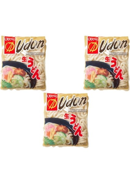 Foods Japon Usülü Udon Noodle 200 gr 3'lü Set fiyatları