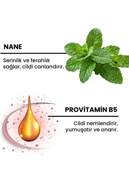 Nane Özlü El ve Vücut Losyonu modelleri