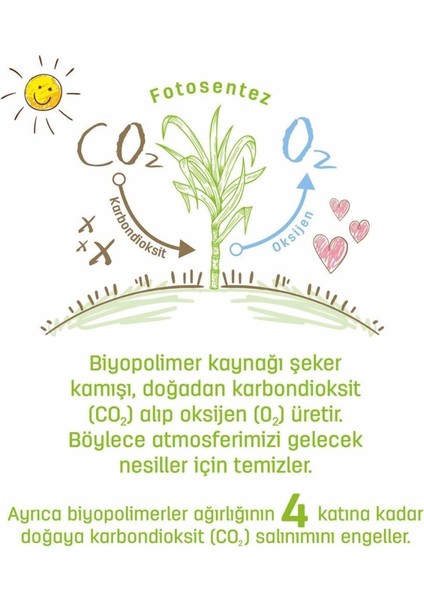 Bfs Sleepy Bio Natural Islak Havlu Mendil 3X40 120 Yaprak fırsatları