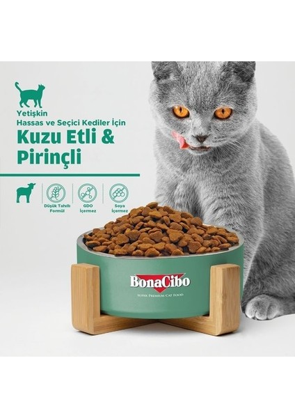 Adult Cat Lamb & Rice Kuzu Etli ve Pirinçli Yetişkin Kedi Maması 5 kg fırsatları