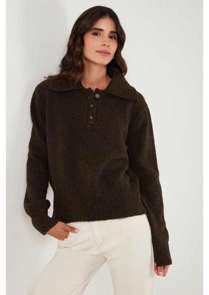 Yün Karışımlı Regular Fit Düğmeli Polo Yaka Kazak Bayan Polo Yaka Kazak 4617019 fırsatları