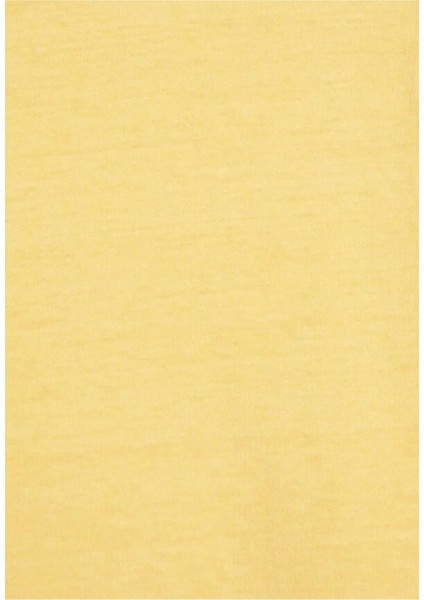 Gold Tab Natural Dye Yellow T-Shirt Relaxed Fit fırsatları