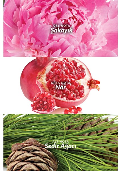 Eve Truth Vücut Losyonu 125 ml Kadın Kullanıcılar İçin Nemlendirici Krem modelleri