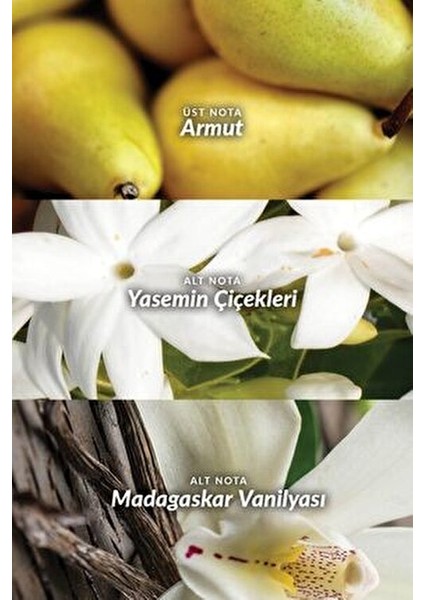 Far Away Beyond Nemlendirici Vücut Losyonu 125 ml Krem Yapısıyla Kadınlar İçin modelleri