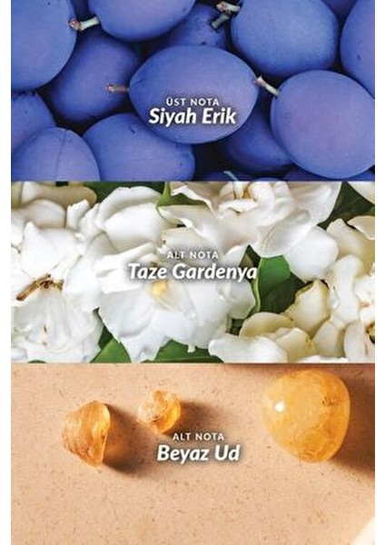 Far Away Splendoria Nemlendirici Vücut Losyonu 125 ml Kadınlar İçin Etkili Nemlendirme modelleri