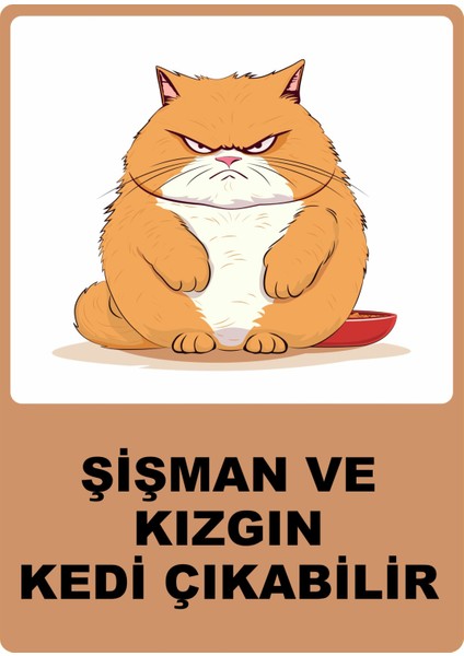 Şişman ve Kızgın Pvc Yapışkan Baskı Uyarı Etiket Sticker 25X35