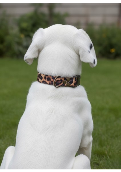 Köpek Boyun Tasması Ayarlanabilir Küçük, Orta ve Büyük Irk Kolon Kordon Leopar Desen modelleri