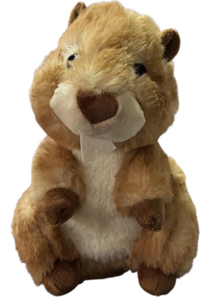 Peluş 23CM Oturan Sincap Peluş