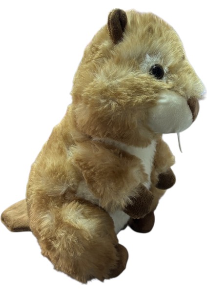 Peluş 23CM Oturan Sincap Peluş fiyatları