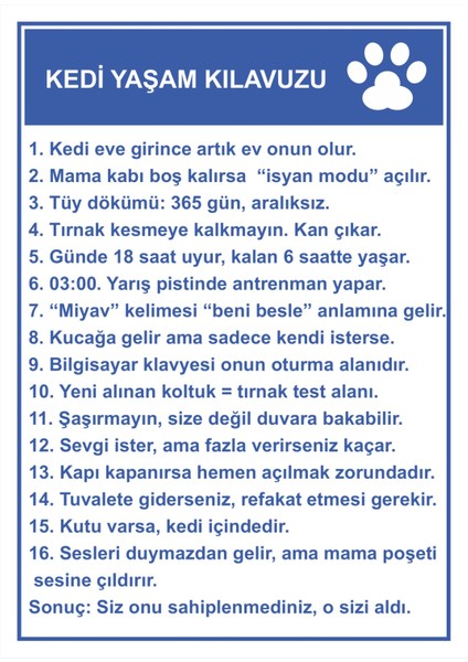 Kedi Yaşam Kılavuzu Pvc Yapışkan Baskı Uyarı Etiket Sticker 12.5X17.5
