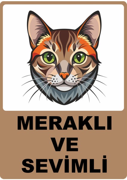 Meraklı ve Sevimli Pvc Yapışkan Baskı Uyarı Etiket Sticker 12.5X17.5
