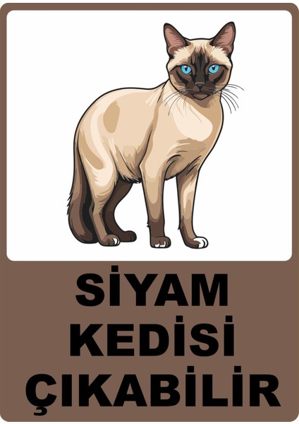 Siyam Kedisi Çıkabilir Dijital Uv Folyo Yapışkan Baskı Uyarı Etiket Sticker 12.5X17.5