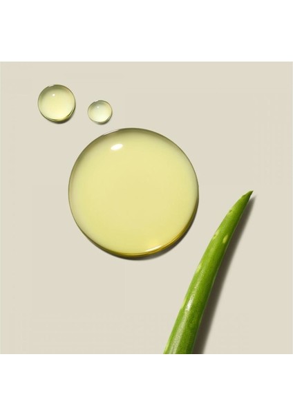 Clean Beauty Everyday Leave-ın Treatment Durulanmayan Saç Kremi 150ml modelleri