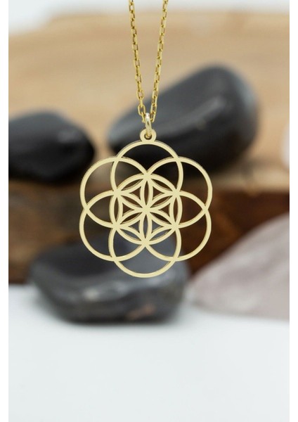 Kadın 925 Ayar Gümüş Yaşam Tohumu Model Kolye