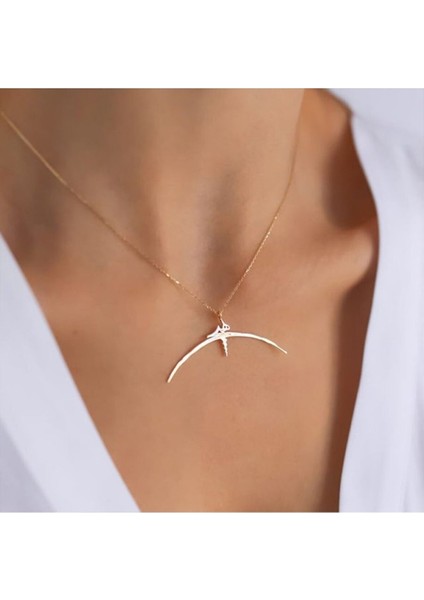 Kadın 925 Ayar Gümüş Hiçlik Sembolü Kolye