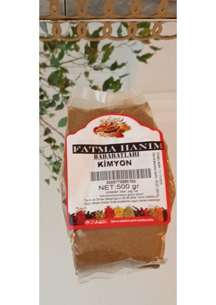 Kimyon Fatma Hanım Bahartları modelleri