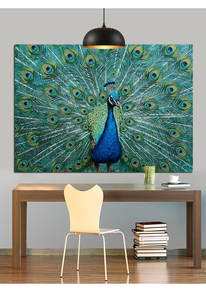 Tavus Kuşu Tüyleri Canlı Renkler Dekoratif Kanvas - Mdf Ahşap Tablo fiyatları