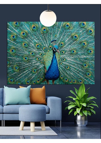 Tavus Kuşu Tüyleri Canlı Renkler Dekoratif Kanvas - Mdf Ahşap Tablo modelleri