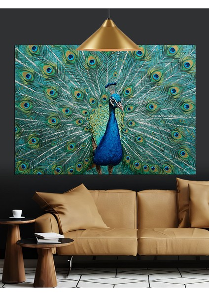Tavus Kuşu Tüyleri Canlı Renkler Dekoratif Kanvas - Mdf Ahşap Tablo fırsatları