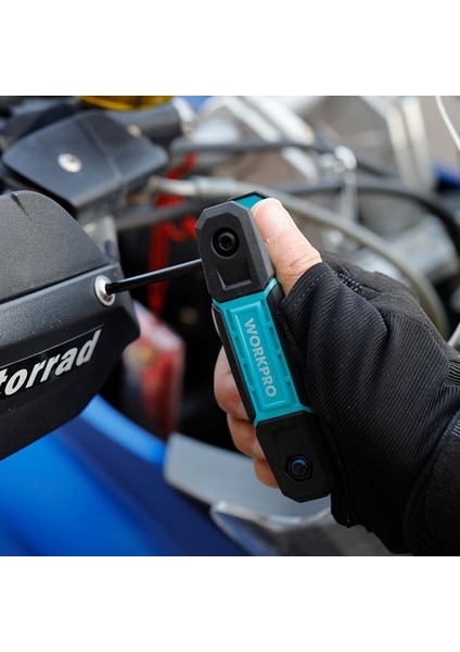 WP222030 8 Parça Cr-V Çakı Tipi Torx Profesyonel Allen Anahtar Takımı indirimleri