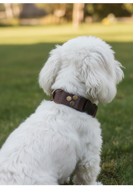 Köpek Boyun Tasması Ayarlanabilir Küçük, Orta ve Büyük Irk Kolon Kordon Koyu Kahverengi