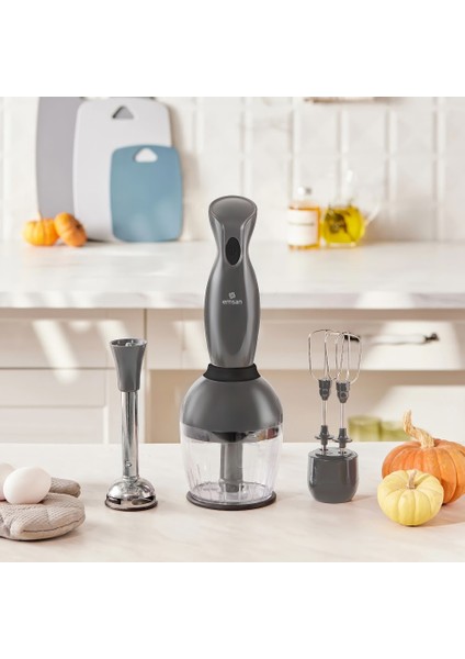 Emsan Profoodmix 3'lü Blender Set Space Gray 1000W