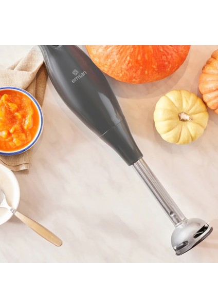 Emsan Profoodmix 3'lü Blender Set Space Gray 1000W modelleri