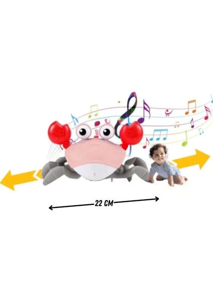 Oyuncak Emeklemeye Yardımcı 3 Kademeli Hız Kapatıp Açılabilen Müzikli Sensörlü Dahili Şarjlı Yengeç Yatay Hareketli fiyatları